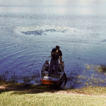 A person in a small boat stands near the shoreline of a calm lake, surrounded by water plants.