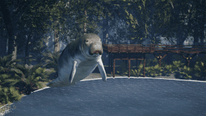 A manatee floats above the water near a wooden bridge in a sunlit forest area.