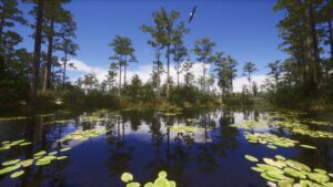 A calm pond with floating lily pads reflects tall trees under a clear blue sky; a bird flies overhead.